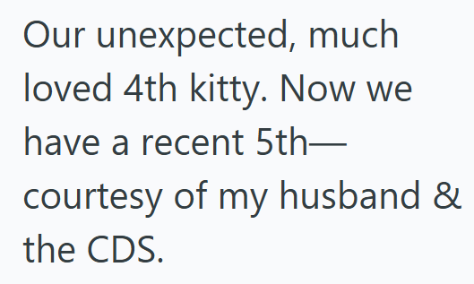 Our unexpected, much loved 4th kitty. Now we have a recent 5th— courtesy of my husband & the CDS.