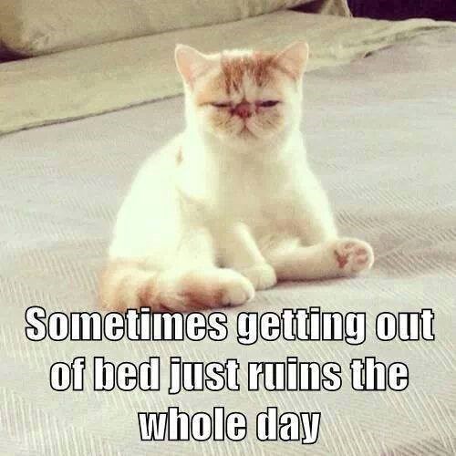 Sometimes getting out of bed just ruins the whole day