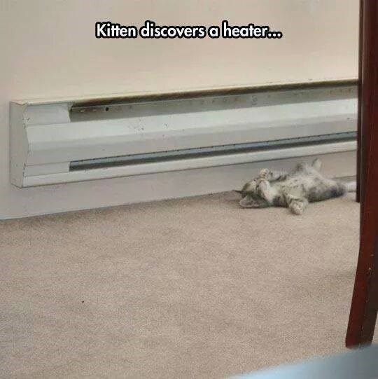 Kitten discovers a heater...