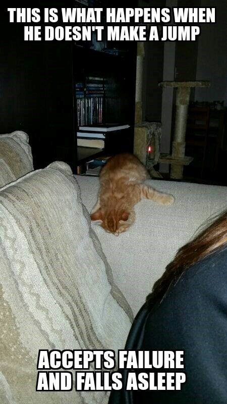 THIS IS WHAT HAPPENS WHEN HE DOESN'T MAKE A JUMP ACCEPTS FAILURE AND FALLS ASLEEP