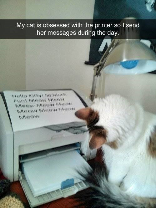 My cat is obsessed with the printer so I send her messages during the day. Hello Kitty! So Much Funt Meow Meow Meow Meow Meow Meow Meow Meow Meow