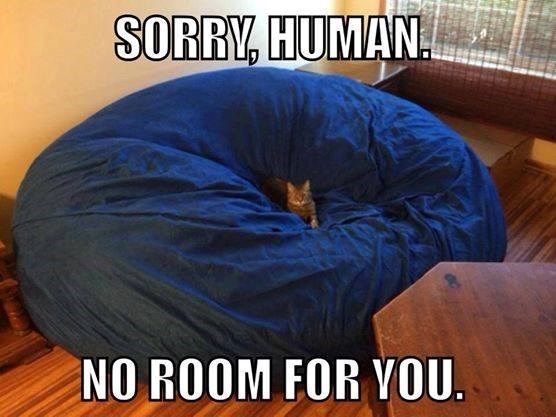 SORRY, HUMAN NO ROOM FOR YOU.