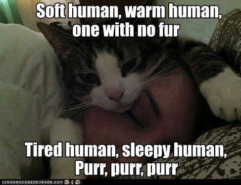 Soft human, warm human, one with no fur Tired human, sleepy human, Purr, purr, purr ICANHASCHEEZBURGER.COM