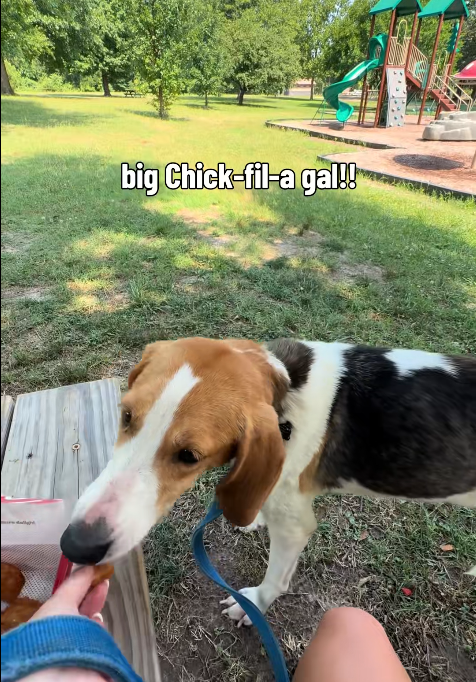 big Chick-fil-a gal!!