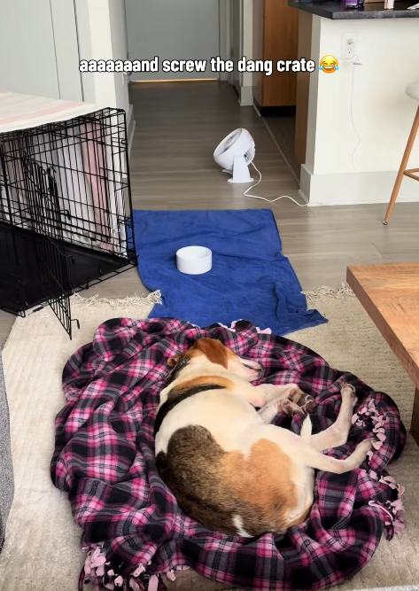 aaaaaaand screw the dang crate