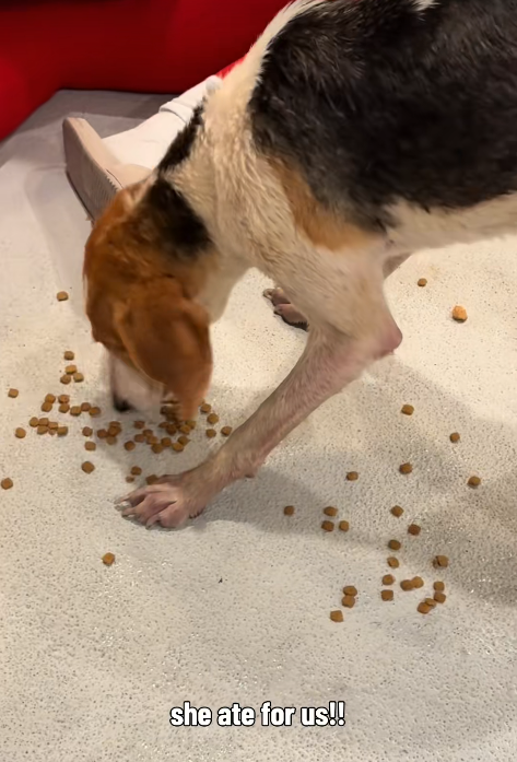 she ate for us!!