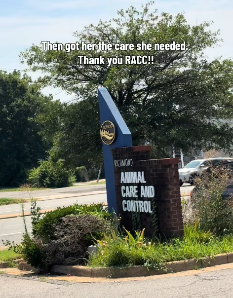 Then got her the care she needed. Thank you RACC!! RICHMOND ANIMAL CARE AND CONTROL