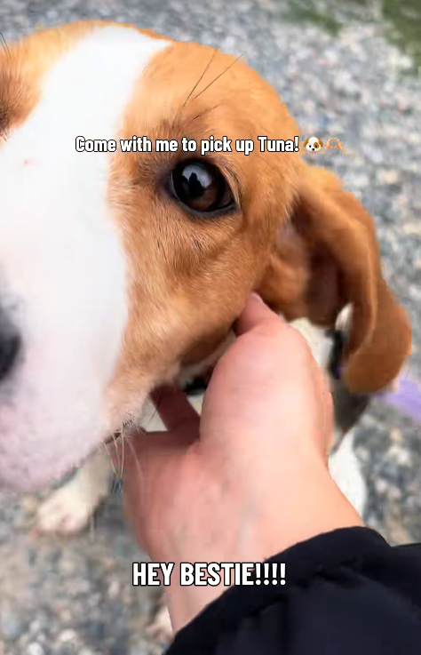 Come with me to pick up Tuna! HEY BESTIE!!!!