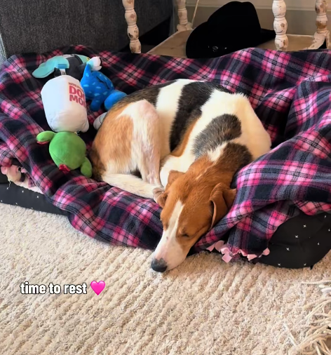 DO MO time to rest