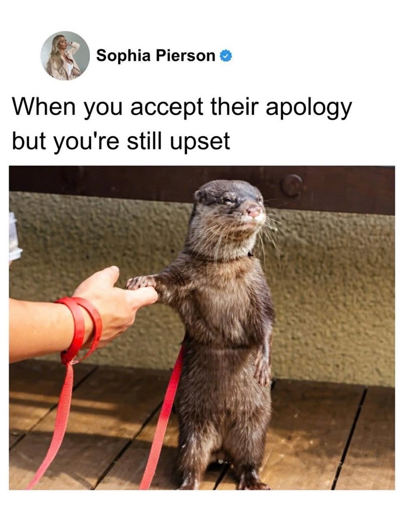 Sophia Pierson When you accept their apology but you're still upset