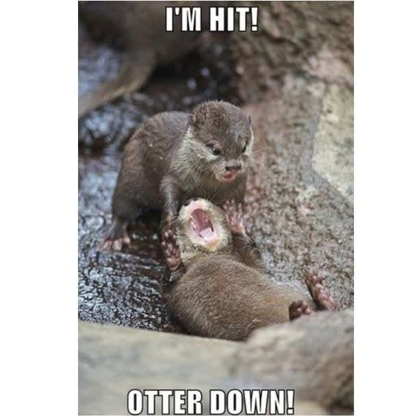 I'M HIT! OTTER DOWN!