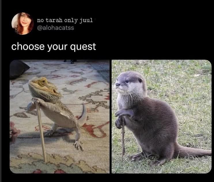 no tarah only juul @alohacatss choose your quest