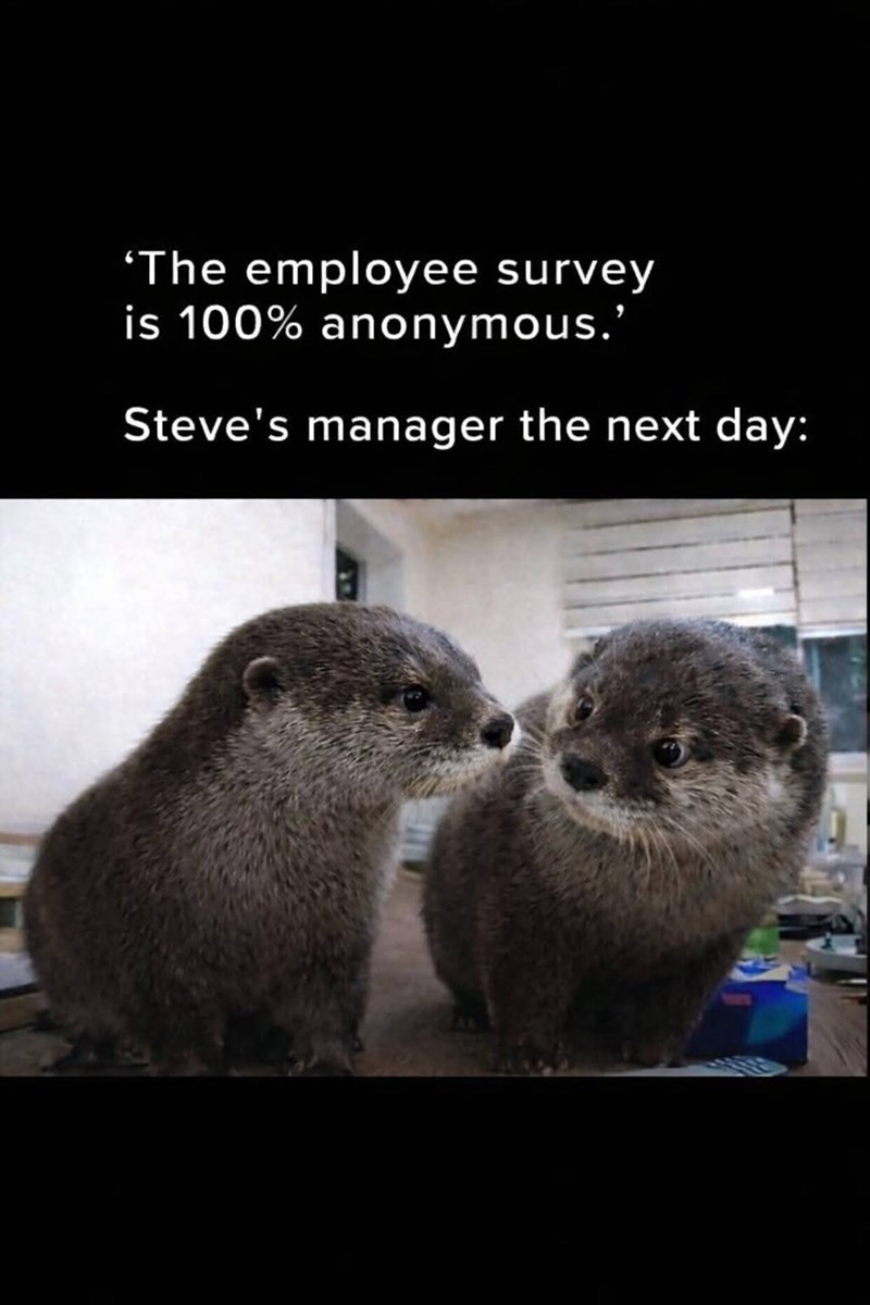 'The employee survey is 100% anonymous.' Steve's manager the next day: