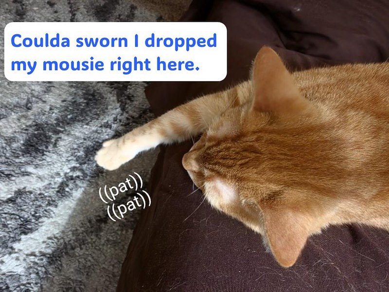 Coulda sworn I dropped my mousie right here. ((pat)) ((pat))