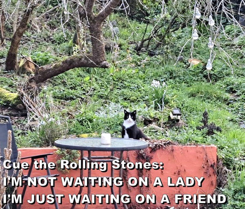 Cue the Rolling Stones: I'M NOT WAITING ON A LADY I'M JUST WAITING ON A FRIEND