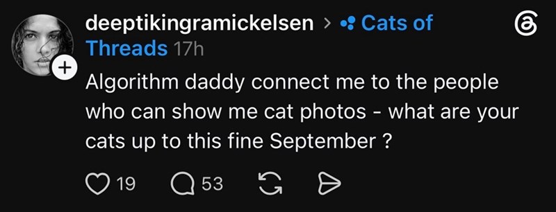 + deeptikingramickelsen > • Cats of Threads 17h Algorithm daddy connect me to the people who can show me cat photos - what are your cats up to this fine September ? ❤ 19 Q 53 G =