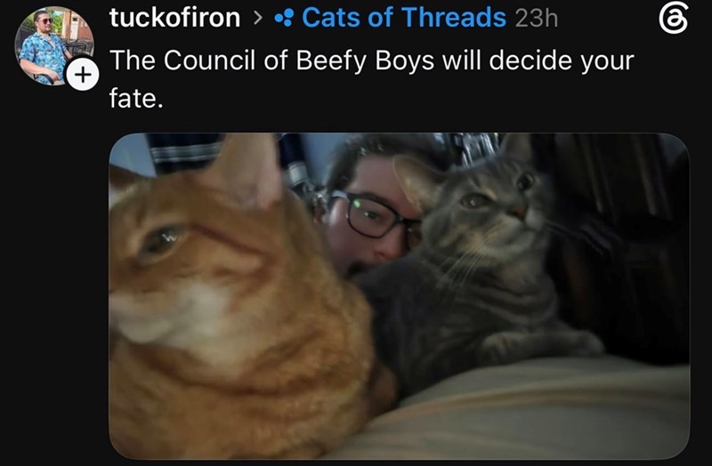 + tuckofiron > Cats of Threads 23h The Council of Beefy Boys will decide your fate.