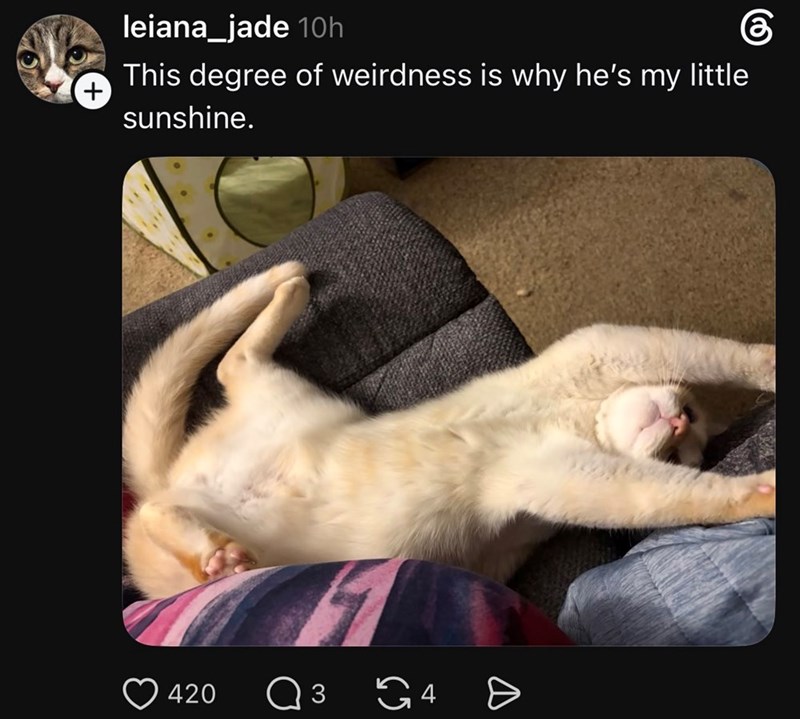 leiana_jade 10h This degree of weirdness is why he's my little sunshine. 420 Q 3 4