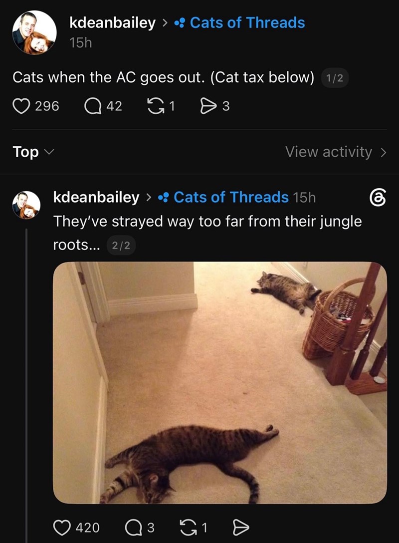 kdeanbailey > Cats of Threads 15h Cats when the AC goes out. (Cat tax below) 1/2 296 Q42 ུ1 > 3 Top View activity > கு kdeanbailey > • Cats of Threads 15h They've strayed way too far from their jungle roots... 2/2 420 ○ 3 G1 Ð