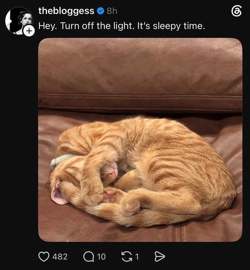 + thebloggess ❤8h Hey. Turn off the light. It's sleepy time. 482 Q 10 G1 > கு