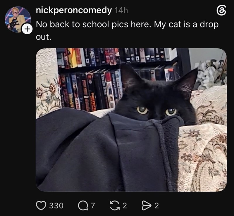 00 கு nickperoncomedy 14h No back to school pics here. My cat is a drop + out. SORCERES FICTION 330 Q 7 G2 > 2