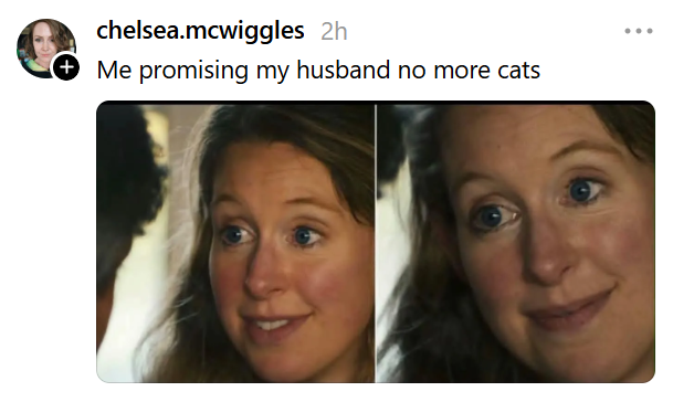chelsea.mcwiggles 2h Me promising my husband no more cats
