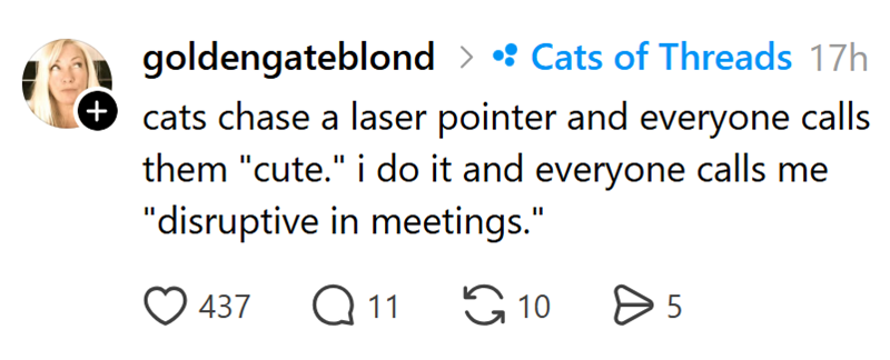 + goldengateblond > O Cats of Threads 17h cats chase a laser pointer and everyone calls them "cute." i do it and everyone calls me "disruptive in meetings." 437 Q11 10 > 5
