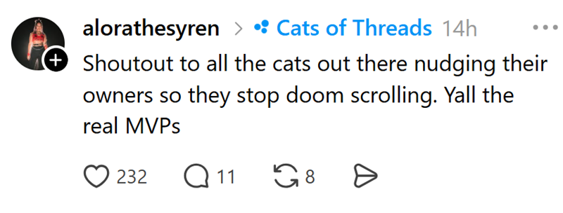 alorathesyren • Cats of Threads 14h + Shoutout to all the cats out there nudging their owners so they stop doom scrolling. Yall the real MVPs 232 Q11 65 8 D