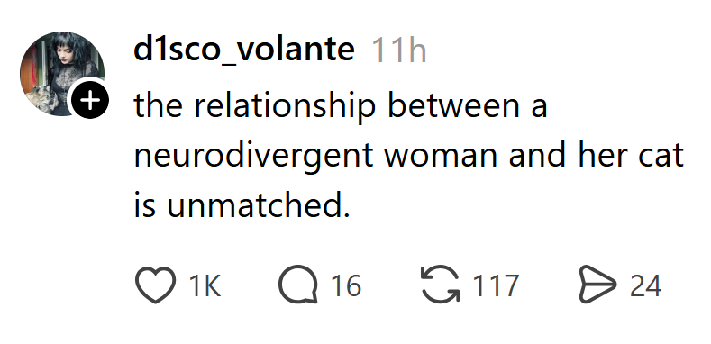 + d1sco_volante 11h the relationship between a neurodivergent woman and her cat is unmatched. 1K ☐ 16 117 > 24