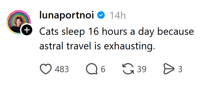 lunaportnoi ✶ 14h + Cats sleep 16 hours a day because astral travel is exhausting. 483 ○ 6 39 > 3