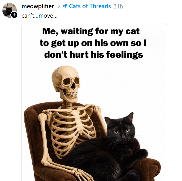 meowplifier > • Cats of Threads 21h + can't...move... Me, waiting for my cat to get up on his own so I don't hurt his feelings