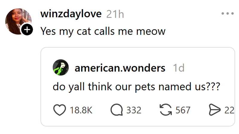winzdaylove 21h + Yes my cat calls me meow american.wonders 1d do yall think our pets named us??? 18.8K Q 332 567 > 22