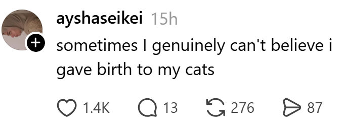 ayshaseikei 15h + sometimes I genuinely can't believe i gave birth to my cats 1.4K Q 13 276 > 87