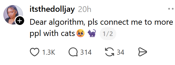 itsthedolljay 20h + Dear algorithm, pls connect me to more 1/2 ppl with cats 1.3K Q 314 34 Ө