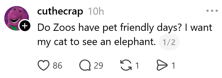 + cuthecrap 10h Do Zoos have pet friendly days? I want my cat to see an elephant. 1/2 86 Q 29 11