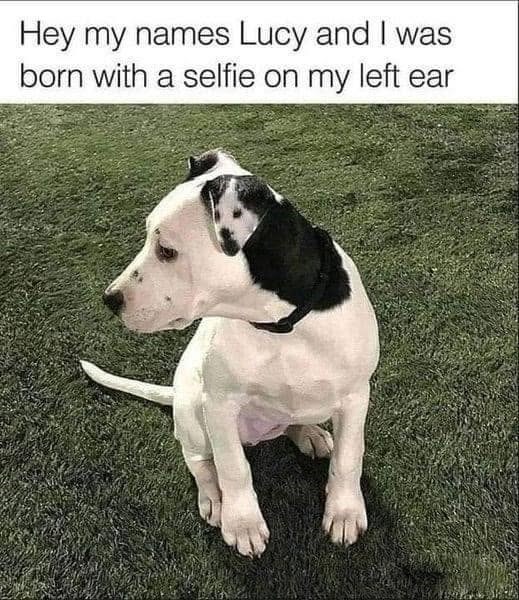 Hey my names Lucy and I was born with a selfie on my left ear