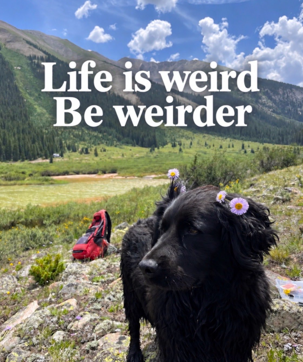 Life is weird Be weirder