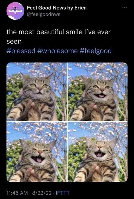 5000 Feel Good News by Erica @feelgoodnws the most beautiful smile I've ever seen #blessed #wholesome #feelgood . 11:45 AM 8/22/22 IFTTT