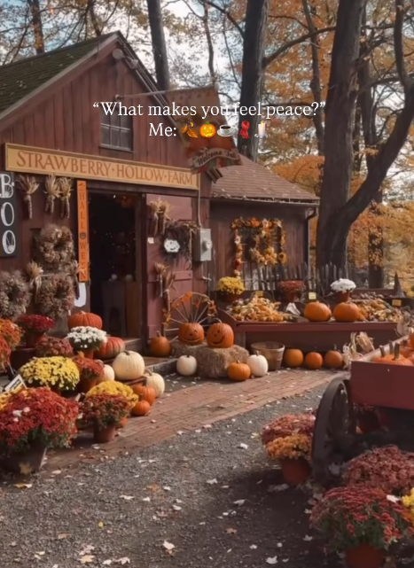 B 0 "What makes you feel peace?" Me: STRAWBERRY HOLLOW-FARM