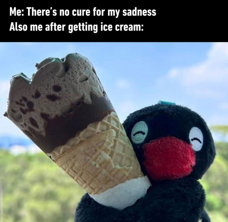 210 Me: There's no cure for my sadness Also me after getting ice cream: