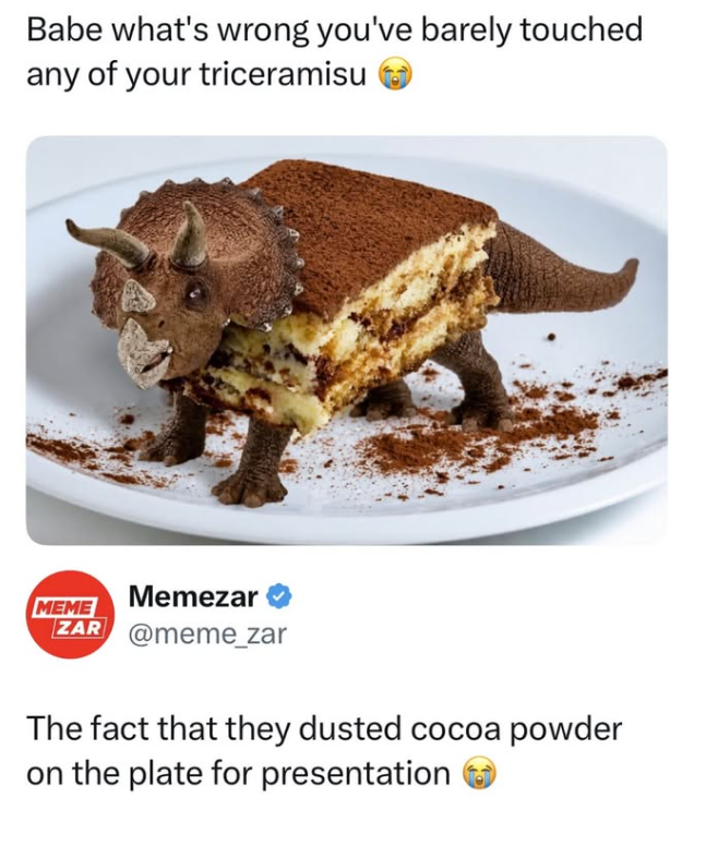 Babe what's wrong you've barely touched any of your triceramisu MEME Memezar ZAR @meme_zar The fact that they dusted cocoa powder on the plate for presentation