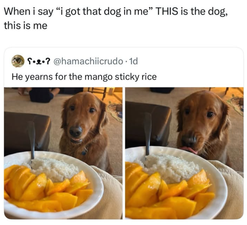 When i say "i got that dog in me" THIS is the dog, this is me ? @hamachiicrudo. 1d He yearns for the mango sticky rice
