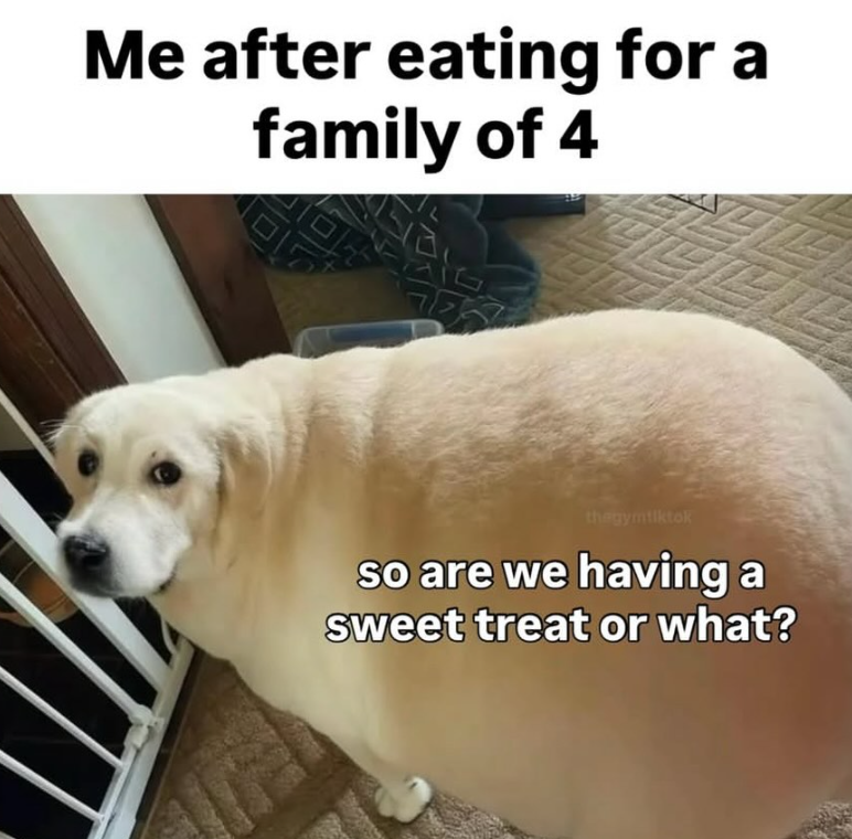 Me after eating for a family of 4 thegymtiktok so are we having a sweet treat or what?
