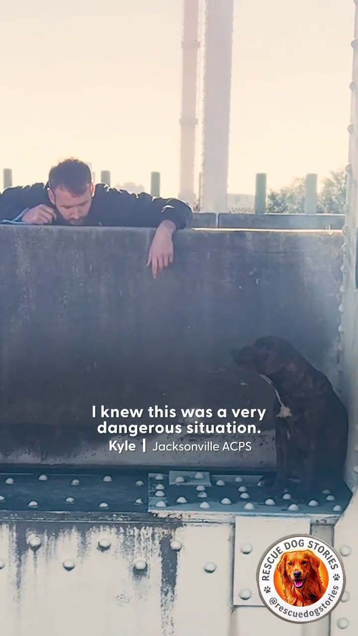 I knew this was a very dangerous situation. Kyle | Jacksonville ACPS RESCUE DOG STORIES