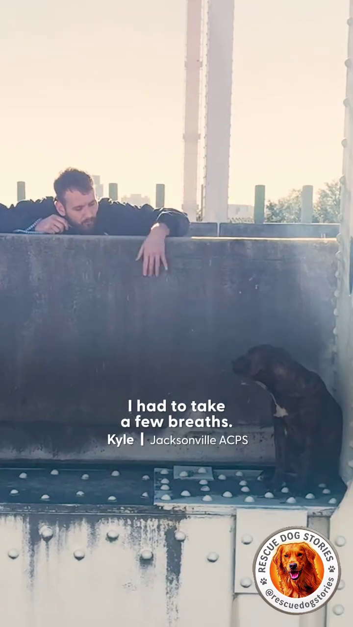 I had to take a few breaths. Kyle | Jacksonville ACPS RESCUE DOG STORIES ܀ Rescue dogstorie
