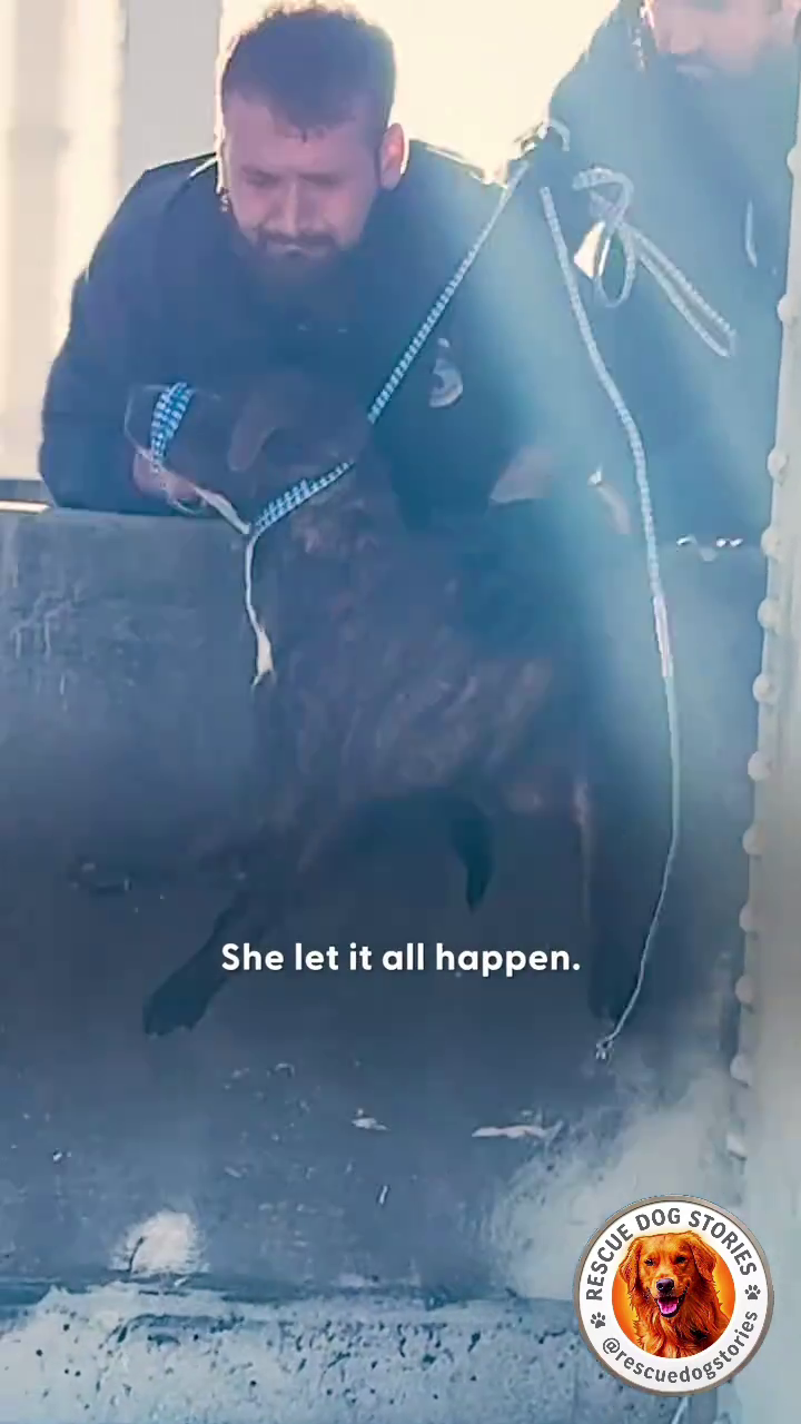 She let it all happen. STORIES Poscuedogstorie