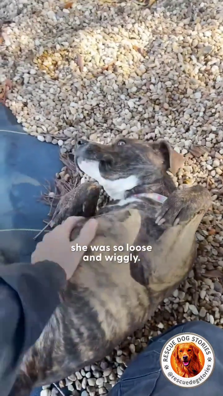 she was so loose and wiggly. RESCUE @res STORIES