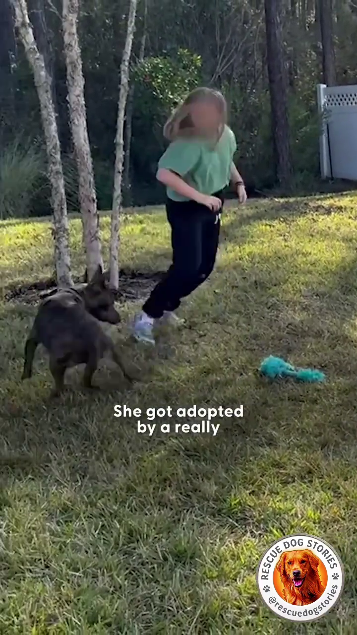 She got adopted by a really RESE DOG @resc STORIES dogstories