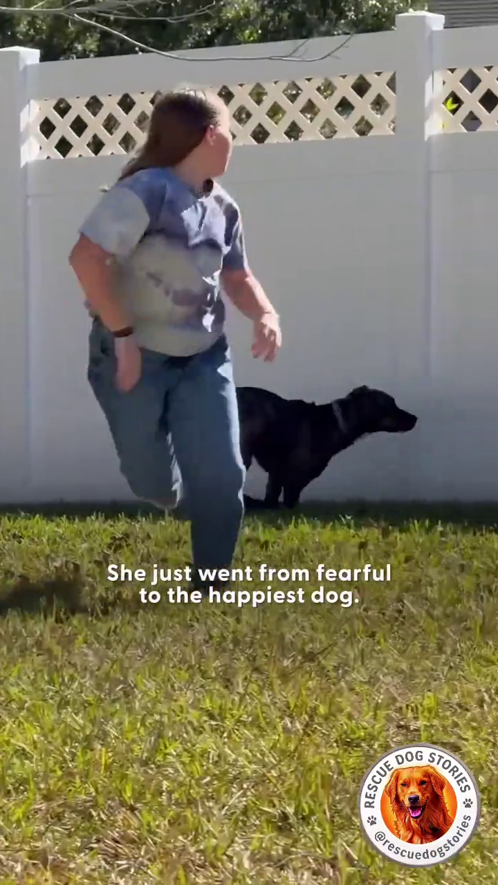She just went from fearful to the happiest dog. RESCUE STORIES