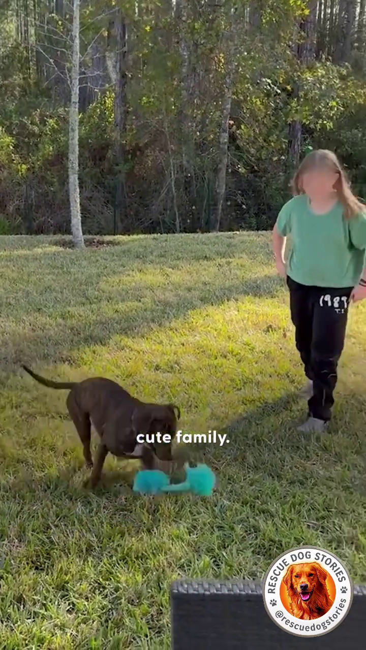 cute family. RESCUE Prescue (989 T STORIES dogstories